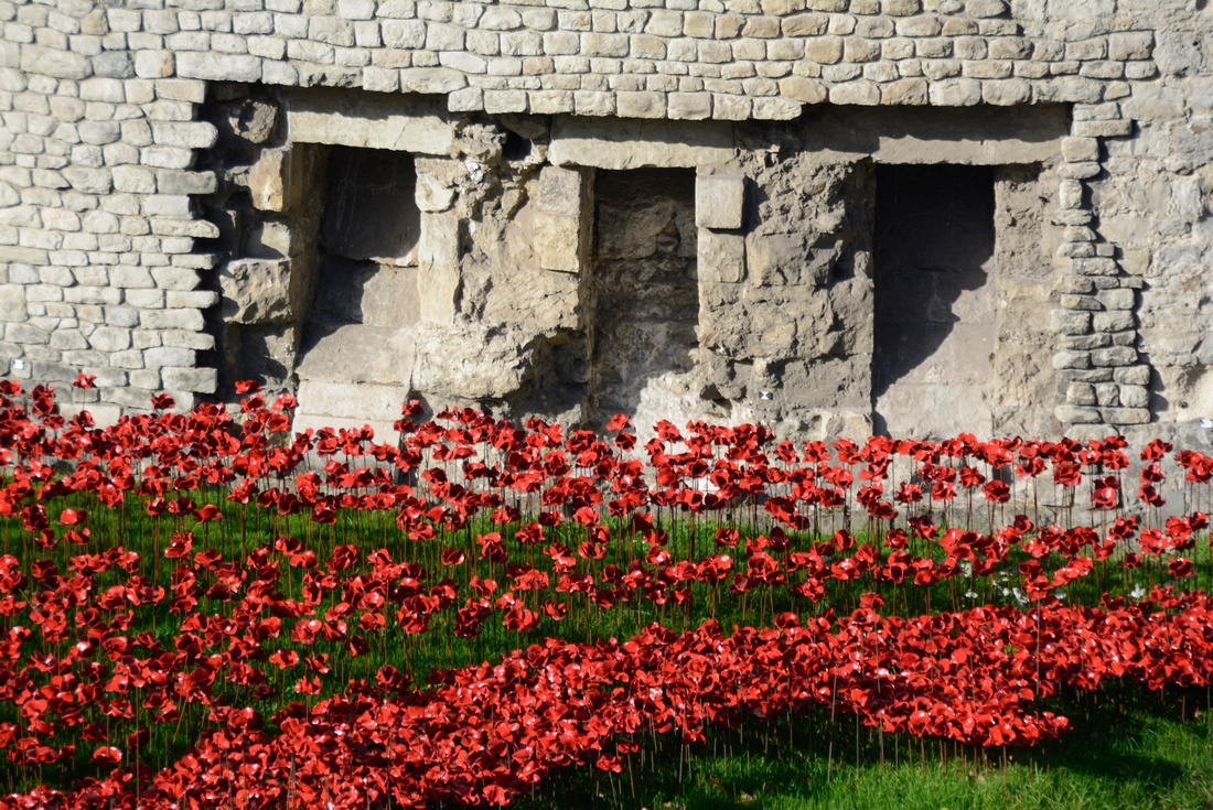 Poppies, Tower of London, London