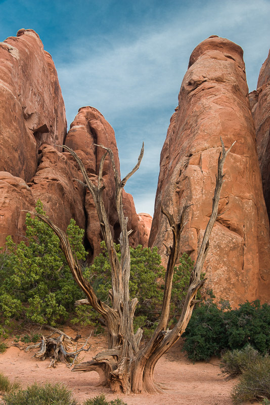 Sand Arch, Arches National Park